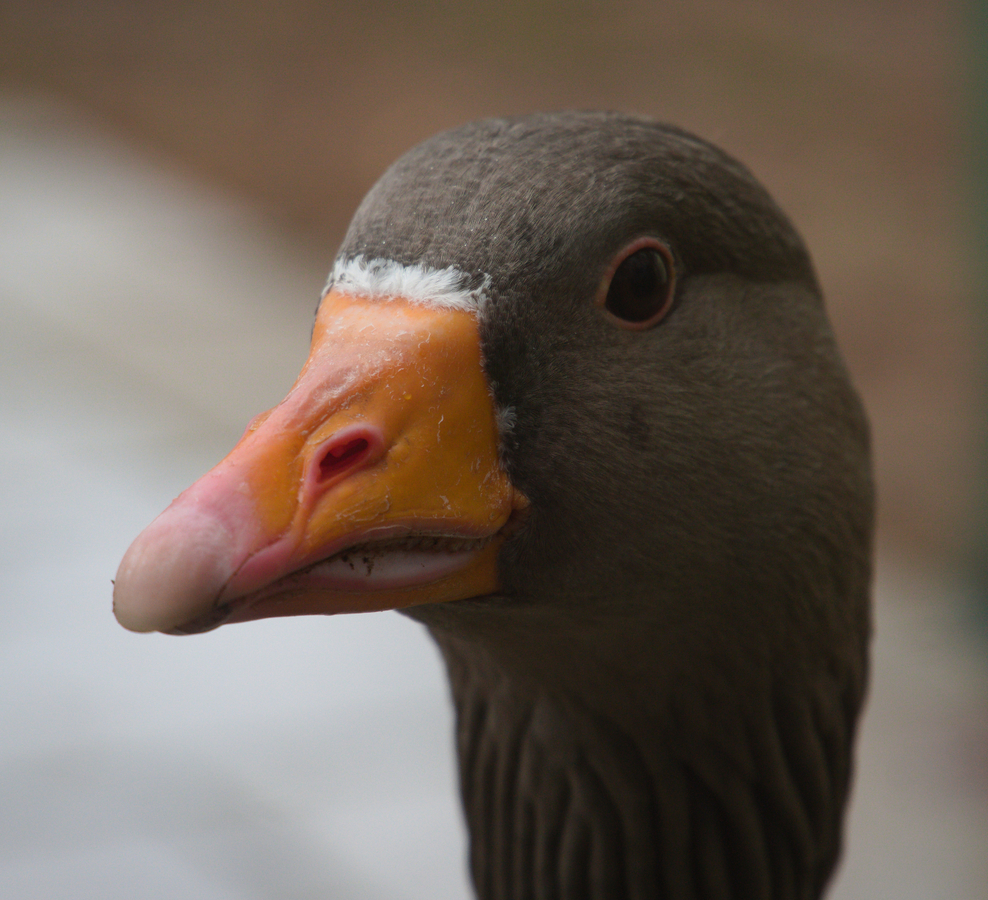 Keeping an Eye on You - Neil Hopkins